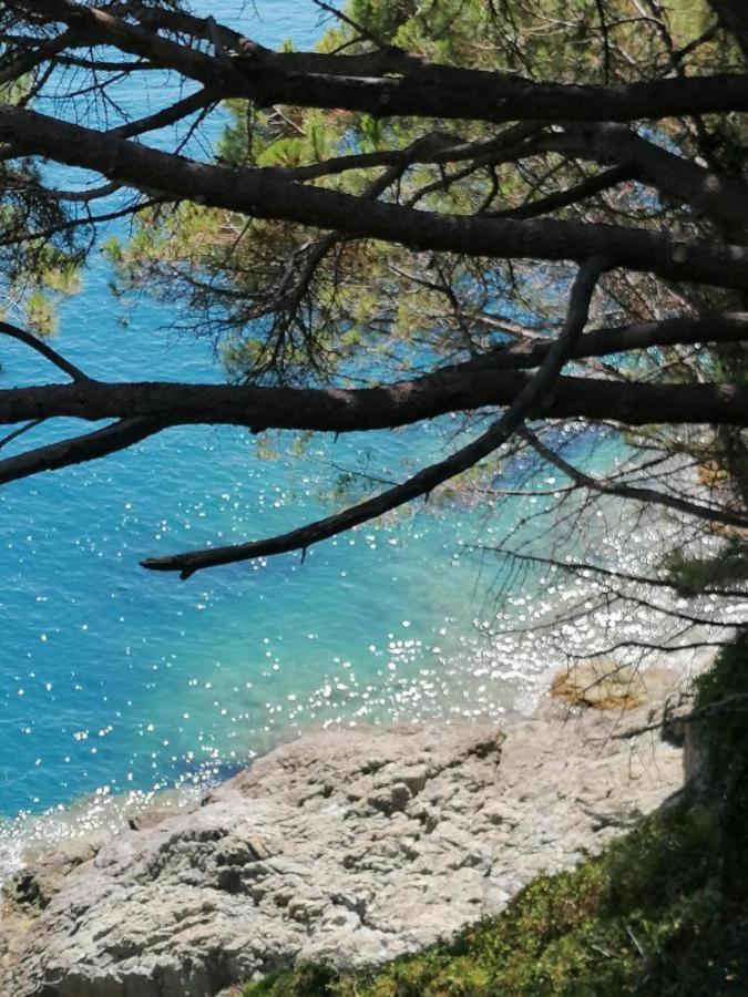 Ca Gianca Apartamento Riccò del Golfo di Spezia Exterior foto